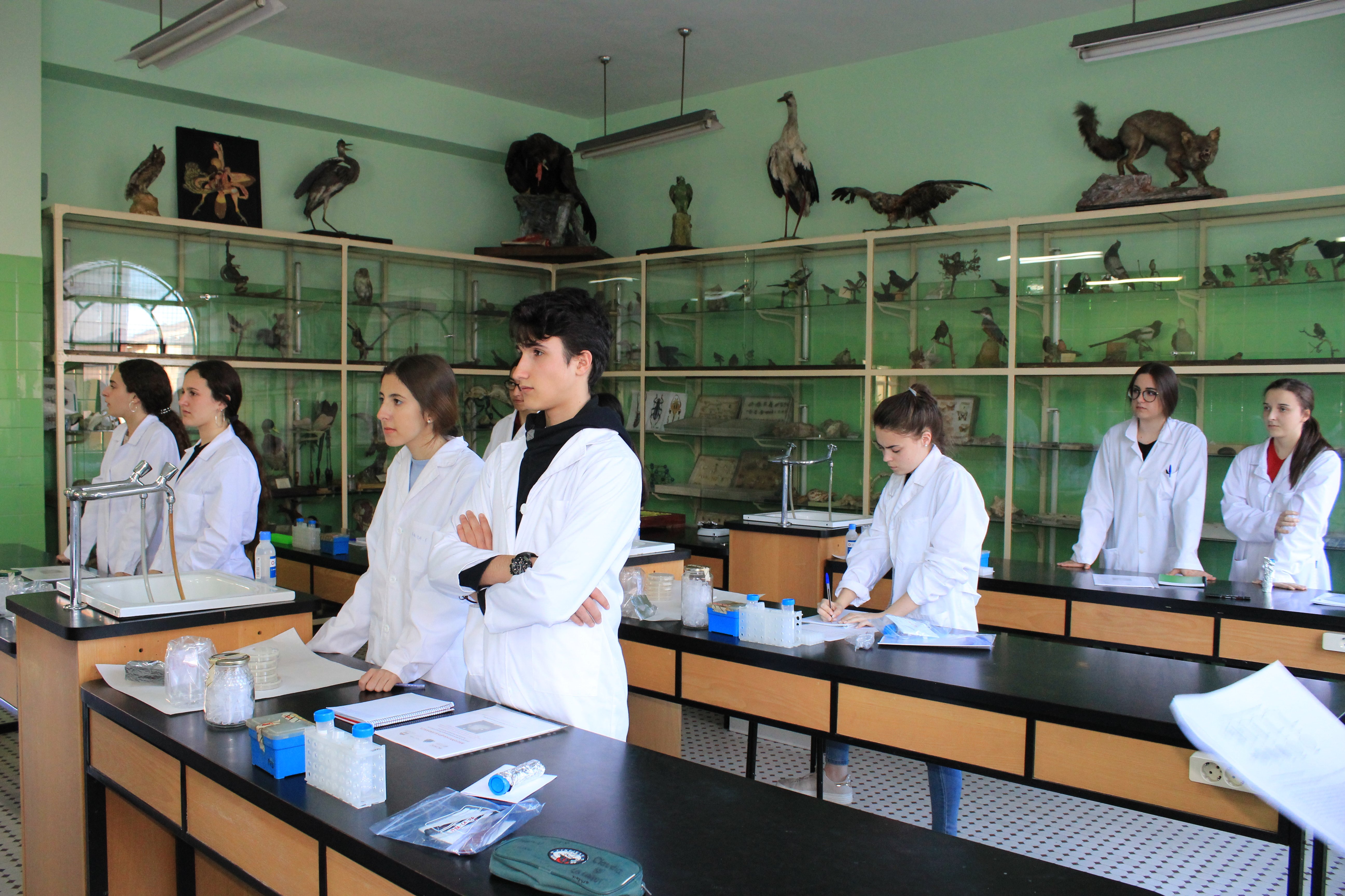 Proyecto SWI/Micromundo Proyecto SWI/Micromundo