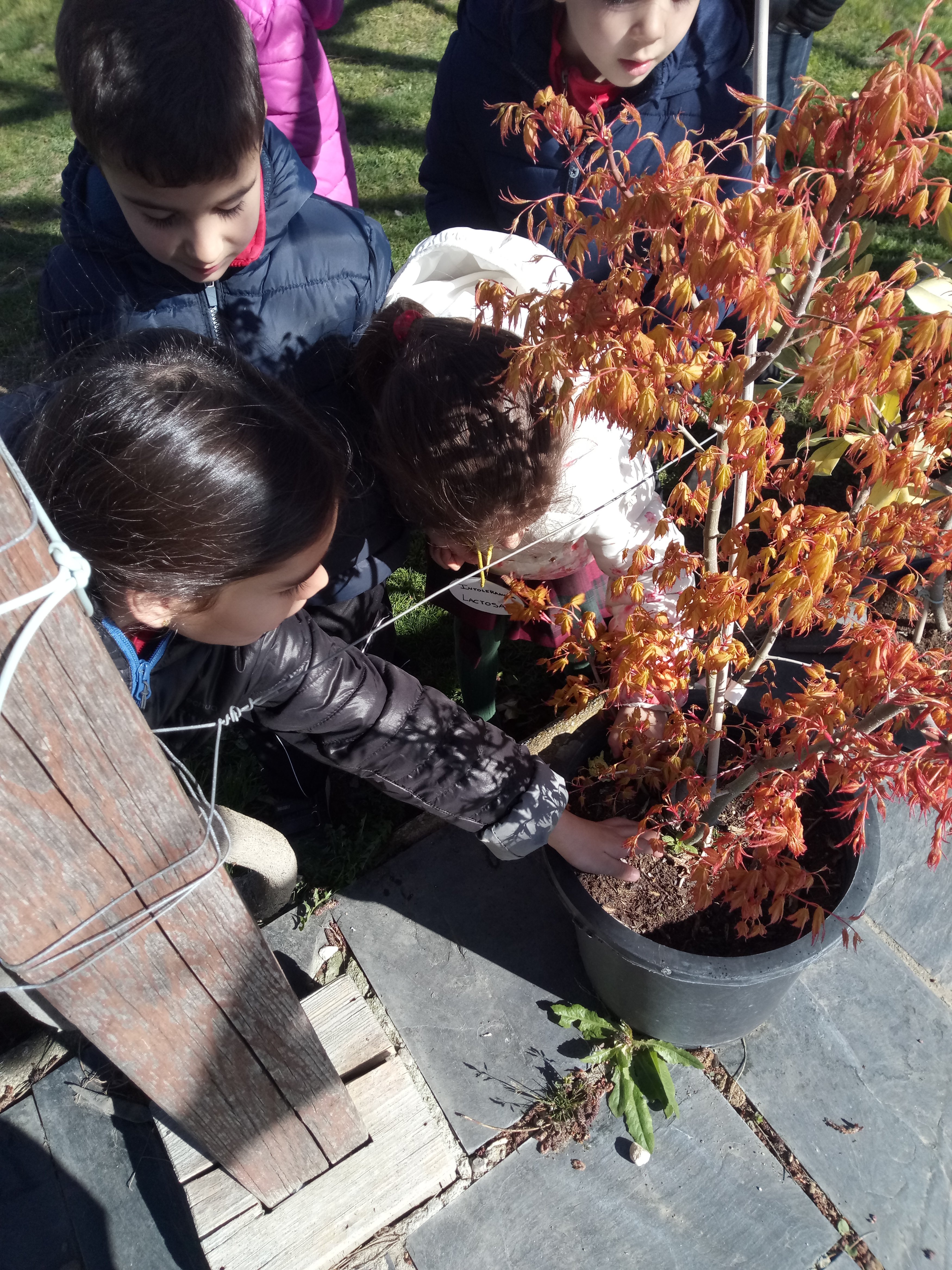 Infantil en la Granja Lorenzo Milani Infantil en la Granja Lorenzo Milani