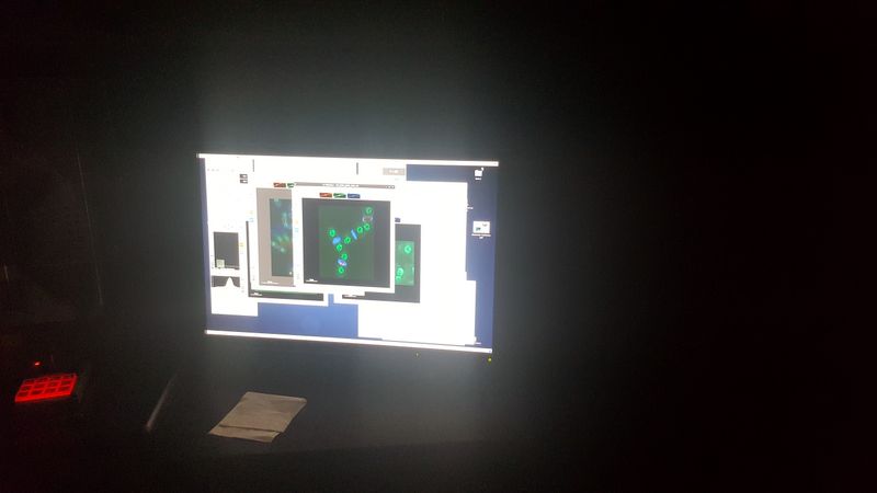 Alumnos de biología en el IBFG Alumnos de biología en el IBFG