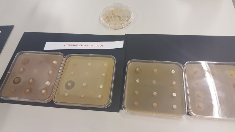 Alumnos de biología en el IBFG Alumnos de biología en el IBFG