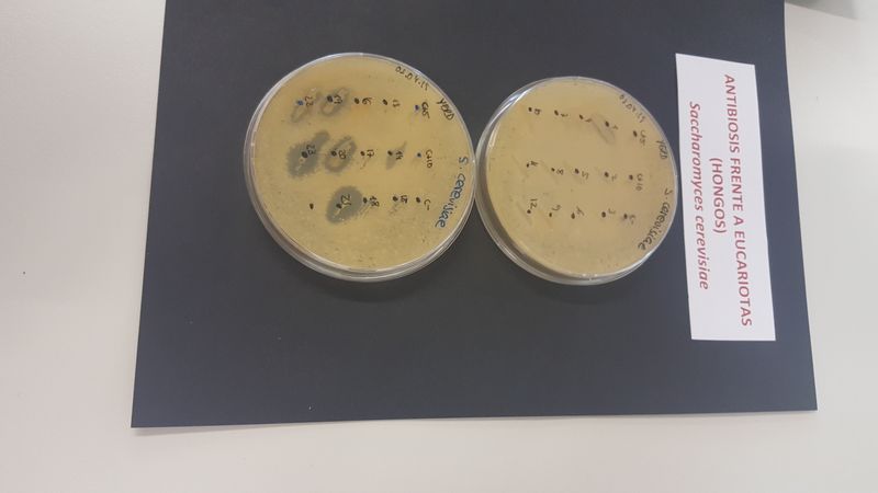 Alumnos de biología en el IBFG Alumnos de biología en el IBFG