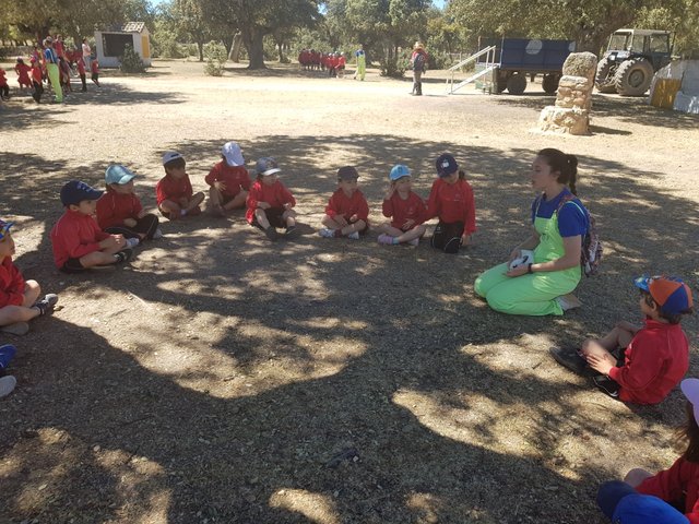 Infantil de excursión a la granja Infantil de excursión a la granja