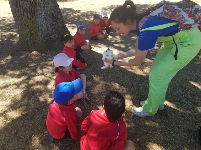 Infantil de excursión a la granja Infantil de excursión a la granja