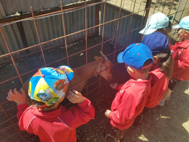 Infantil de excursión a la granja Infantil de excursión a la granja