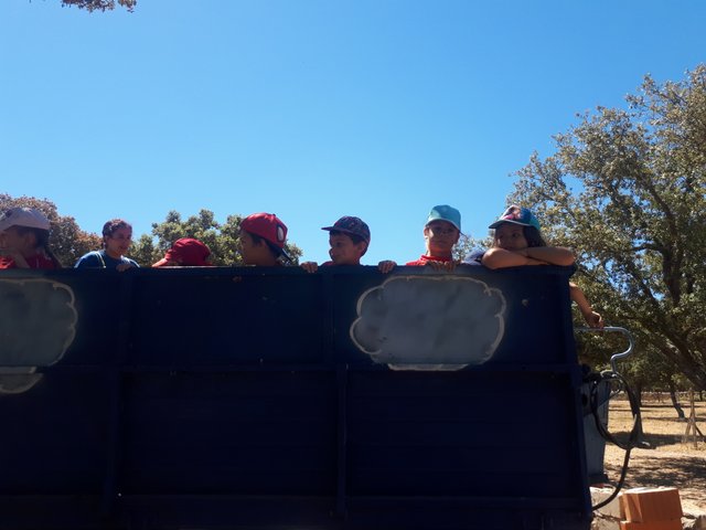 Infantil de excursión a la granja Infantil de excursión a la granja