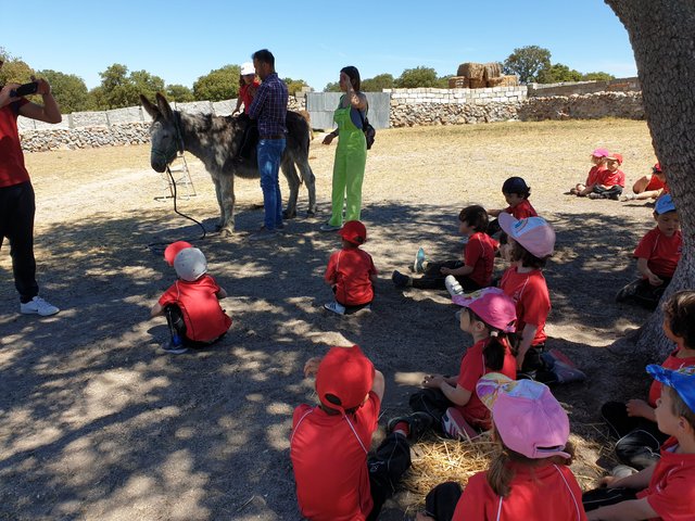 Infantil de excursión a la granja Infantil de excursión a la granja
