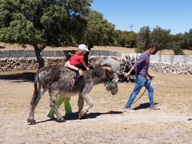 Infantil de excursión a la granja Infantil de excursión a la granja