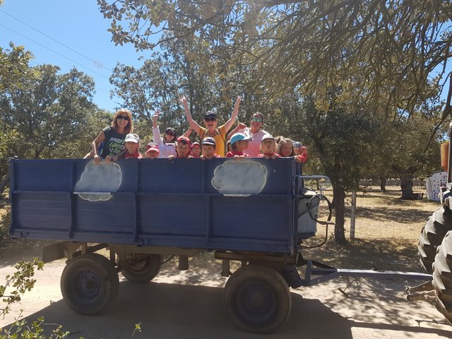 Infantil de excursión a la granja Infantil de excursión a la granja
