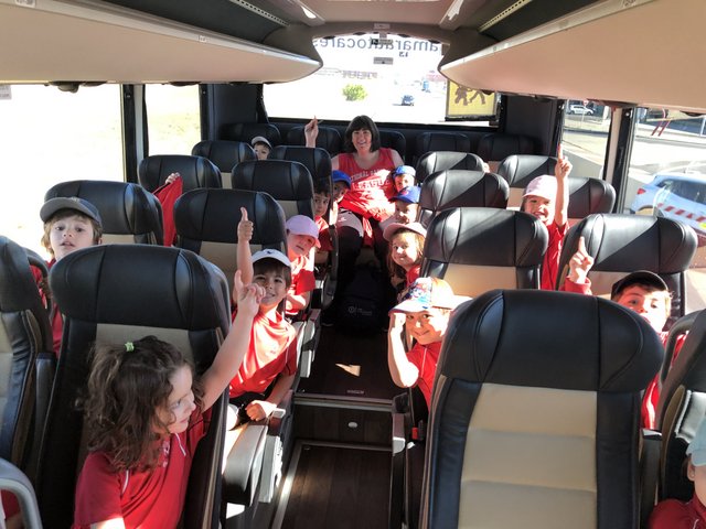 Infantil de excursión a la granja Infantil de excursión a la granja