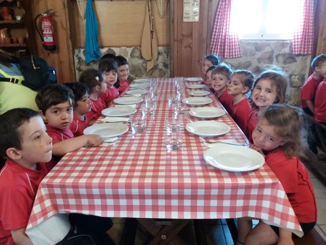 Infantil de excursión a la granja Infantil de excursión a la granja