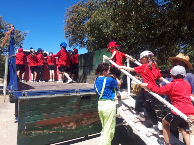 Infantil de excursión a la granja Infantil de excursión a la granja
