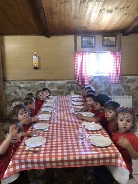 Infantil de excursión a la granja Infantil de excursión a la granja