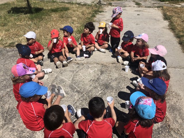 Infantil de excursión a la granja Infantil de excursión a la granja