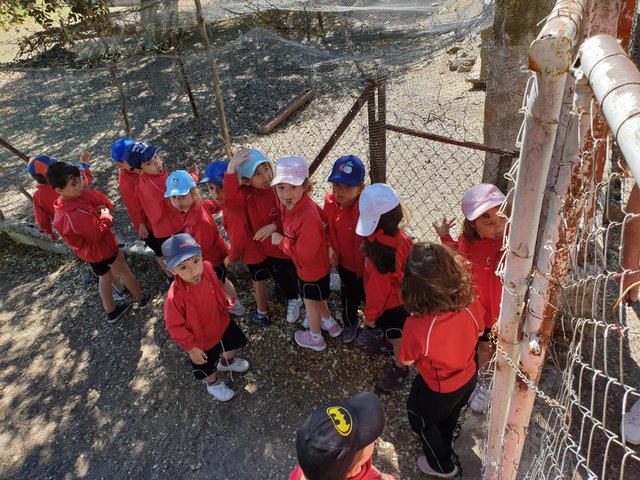 Infantil de excursión a la granja Infantil de excursión a la granja