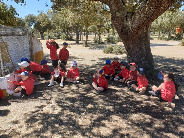 Infantil de excursión a la granja Infantil de excursión a la granja