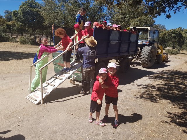 Infantil de excursión a la granja Infantil de excursión a la granja