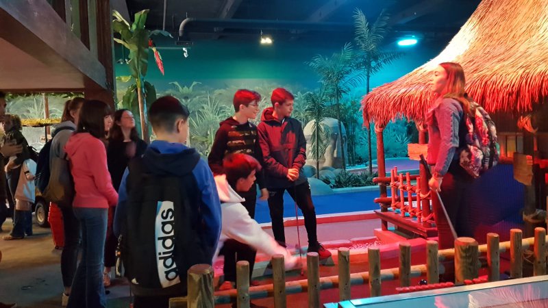 Intercambio en Bristol. Intercambio en Bristol.