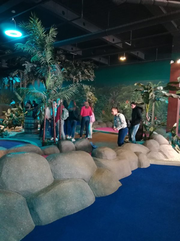 Intercambio en Bristol. Intercambio en Bristol.