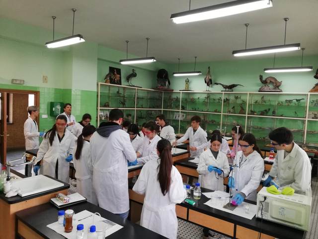 Alumnos de 2º de Bachillerato de Química comienzan las prácticas en el laboratorio. Alumnos de 2º de Bachillerato de Química comienzan las prácticas en el laboratorio.