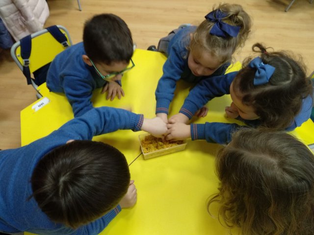 Viajando por el desierto Viajando por el desierto